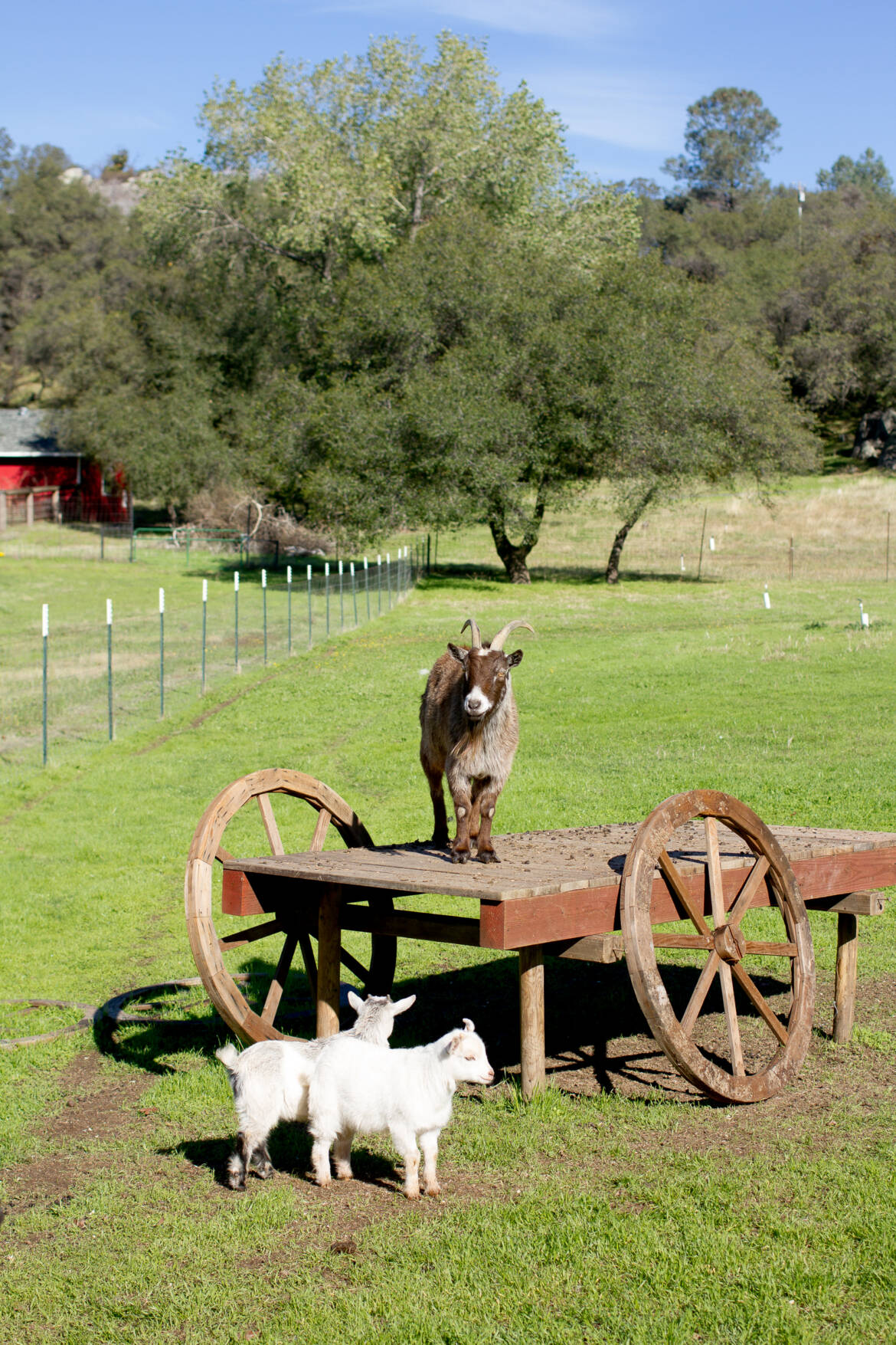 20161102-farm30.jpg
