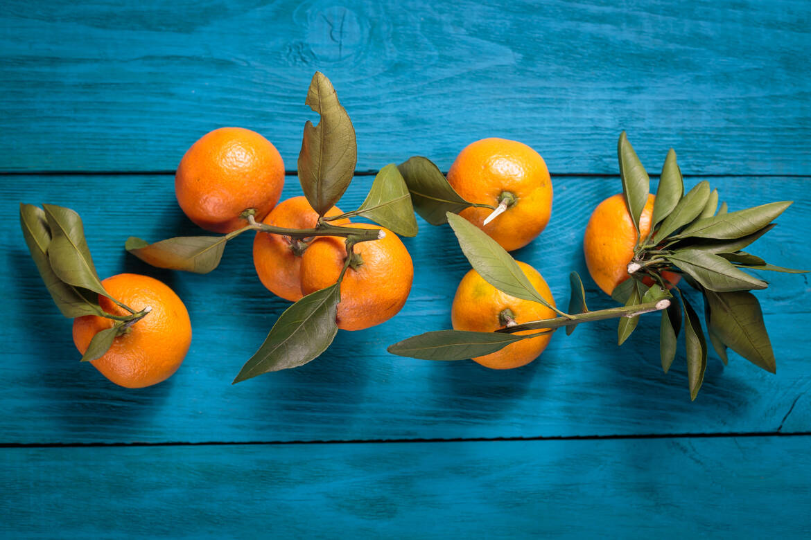mandarins_blue_bg.jpg