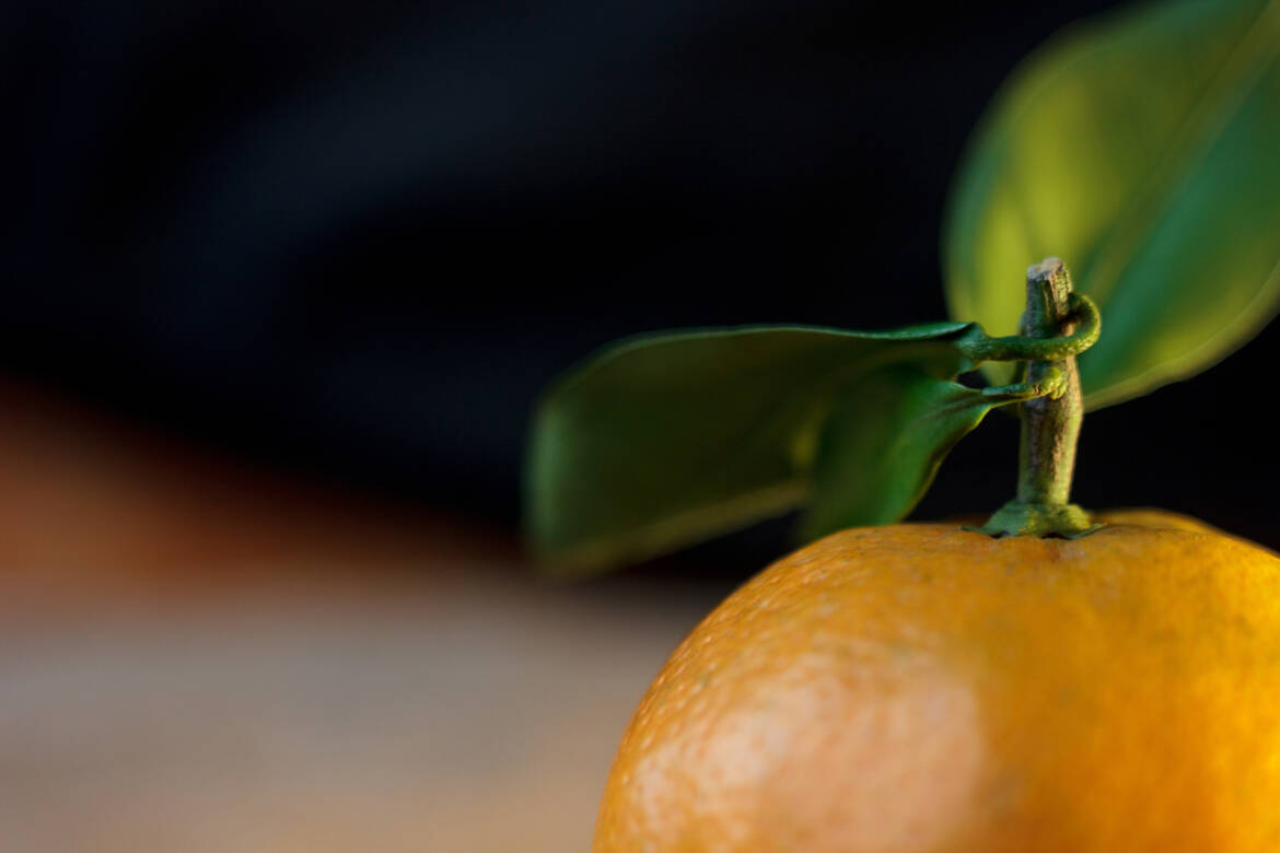 orange_close_up.jpg